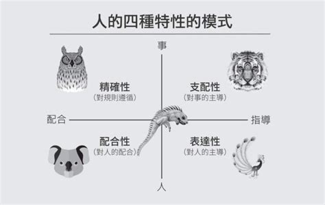 考慮 老虎|你是老虎、孔雀、無尾熊，還是貓頭鷹？用「DISC人格測。